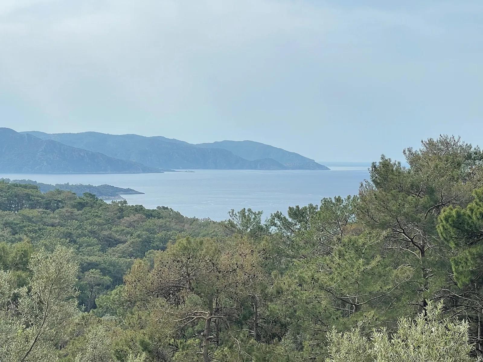 Köyceğiz Ekincik mit Meerblick 7.000m2 2b zu verkaufen Olivenhain