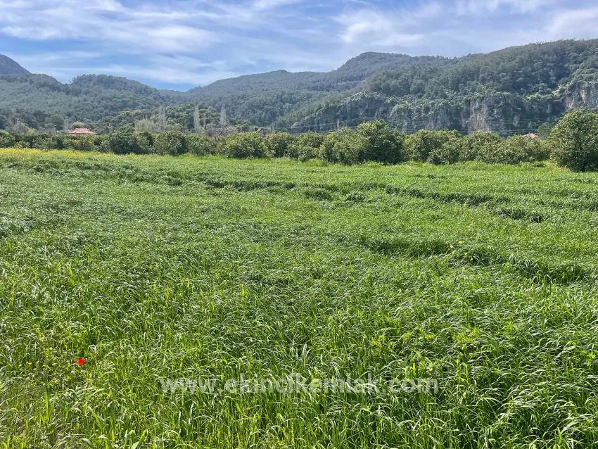 Land Zu verkaufen in Okçular Bz. Ortaca - Gehäuse-Zonierung - 736 m²