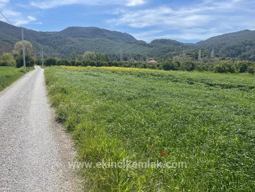 Land Zu verkaufen in Okçular Bz. Ortaca - Gehäuse-Zonierung - 736 m²