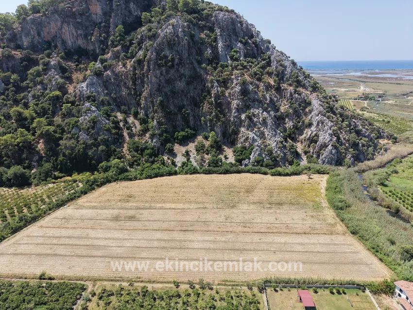 Feld Zu verkaufen in Dalyan Bz. Ortaca - Feld-Zonierung - 20.786 m²
