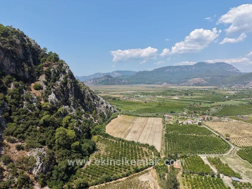 Feld Zu verkaufen in Dalyan Bz. Ortaca - Feld-Zonierung - 20.786 m²
