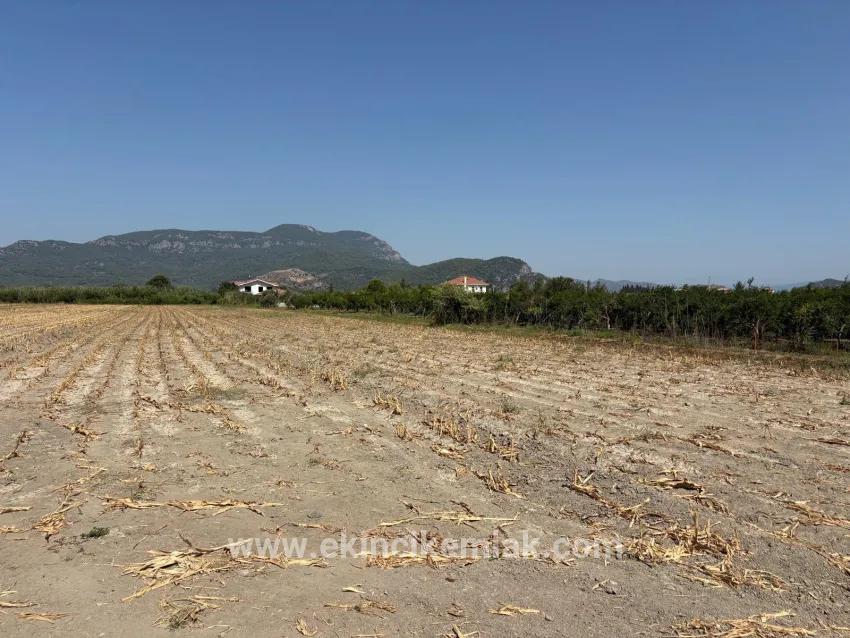Feld Zu verkaufen in Dalyan Bz. Ortaca - Feld-Zonierung - 20.786 m²