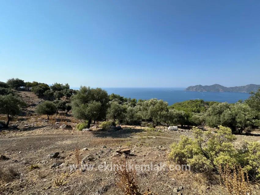 Feld Zu verkaufen in Çandır Bz. Köyceğiz - Feld-Zonierung - 21.000 m²