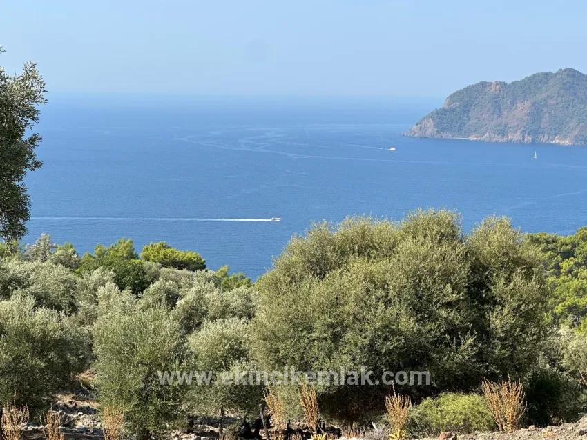 Feld Zu verkaufen in Çandır Bz. Köyceğiz - Feld-Zonierung - 21.000 m²