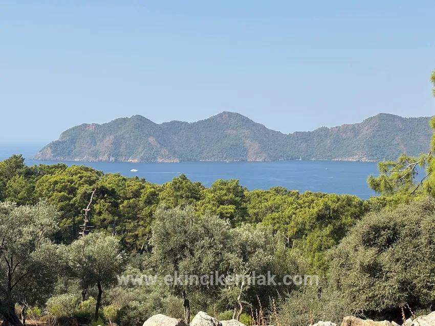 Feld Zu verkaufen in Çandır Bz. Köyceğiz - Feld-Zonierung - 21.000 m²