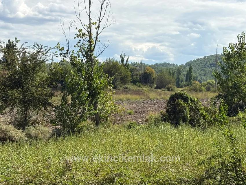 Feld Zu verkaufen in Zeytinalanı Bz. Köyceğiz - Feld-Zonierung - 10.500 m²