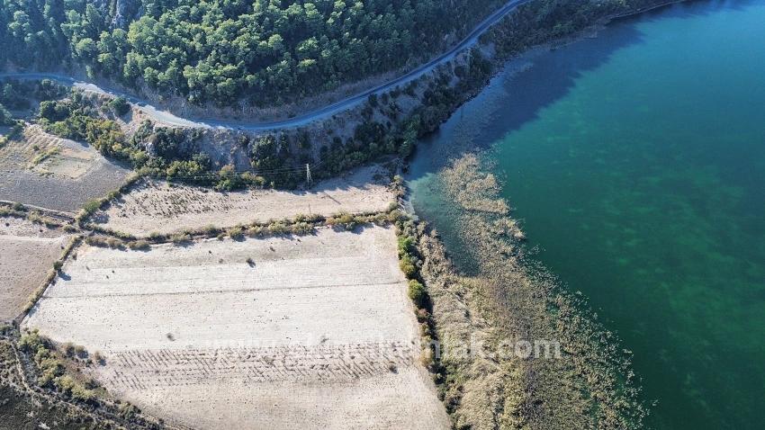 Feld Zu verkaufen in Sultaniye Bz. Köyceğiz - Feld-Zonierung - 3.210 m²