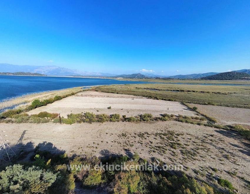 Feld Zu verkaufen in Sultaniye Bz. Köyceğiz - Feld-Zonierung - 3.210 m²