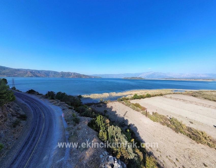 Feld Zu verkaufen in Sultaniye Bz. Köyceğiz - Feld-Zonierung - 3.210 m²