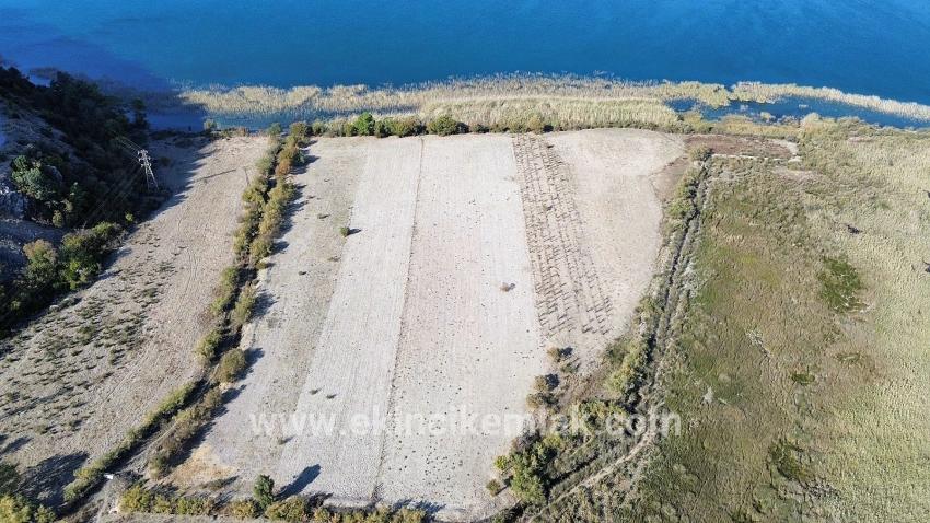 Feld Zu verkaufen in Sultaniye Bz. Köyceğiz - Feld-Zonierung - 3.210 m²