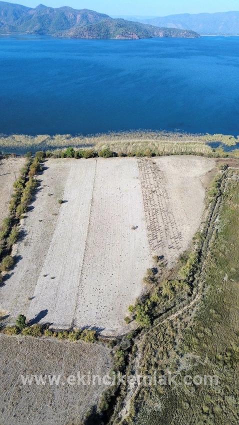 Feld Zu verkaufen in Sultaniye Bz. Köyceğiz - Feld-Zonierung - 3.210 m²