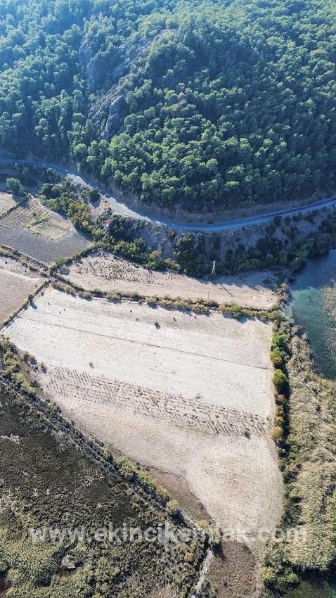 Feld Zu verkaufen in Sultaniye Bz. Köyceğiz - Feld-Zonierung - 3.210 m²