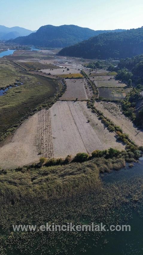 Feld Zu verkaufen in Sultaniye Bz. Köyceğiz - Feld-Zonierung - 3.210 m²