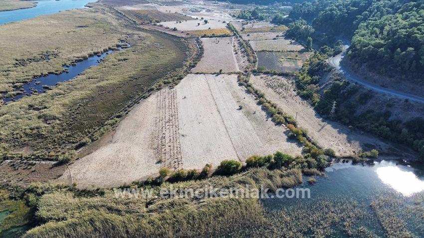 Feld Zu verkaufen in Sultaniye Bz. Köyceğiz - Feld-Zonierung - 3.210 m²