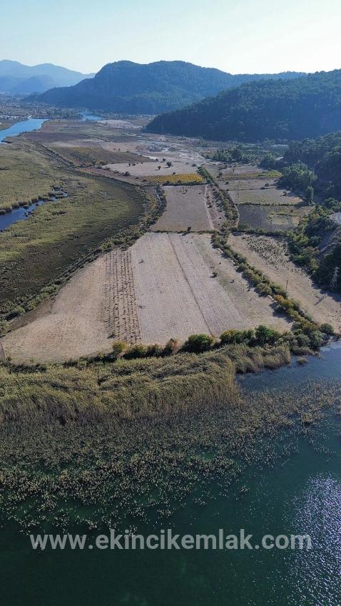 Feld Zu verkaufen in Sultaniye Bz. Köyceğiz - Feld-Zonierung - 3.210 m²