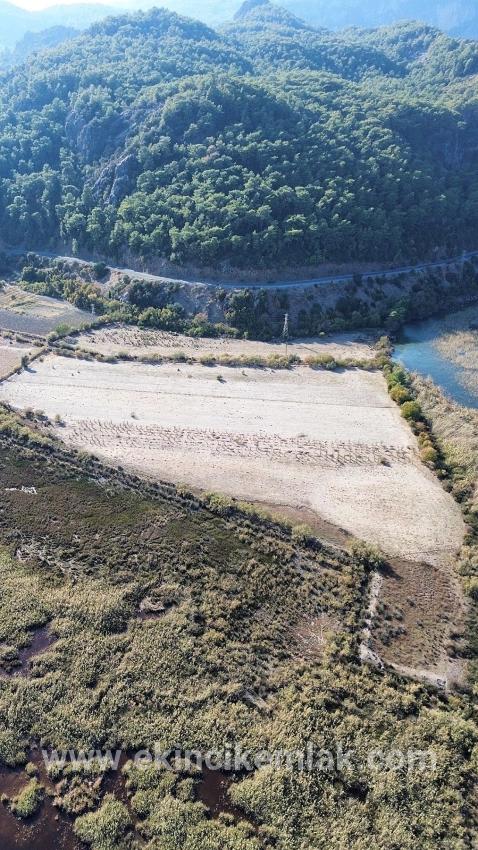 Feld Zu verkaufen in Sultaniye Bz. Köyceğiz - Feld-Zonierung - 3.210 m²