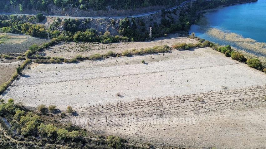 Feld Zu verkaufen in Sultaniye Bz. Köyceğiz - Feld-Zonierung - 3.210 m²