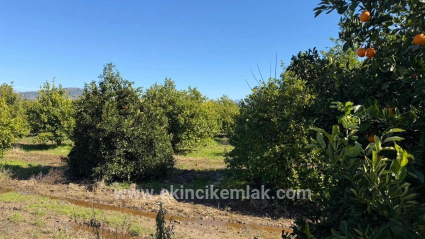 Land Zu verkaufen in Okçular Bz. Ortaca - Gehäuse-Zonierung - 2.218 m²