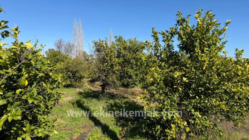 Land Zu verkaufen in Okçular Bz. Ortaca - Gehäuse-Zonierung - 2.218 m²