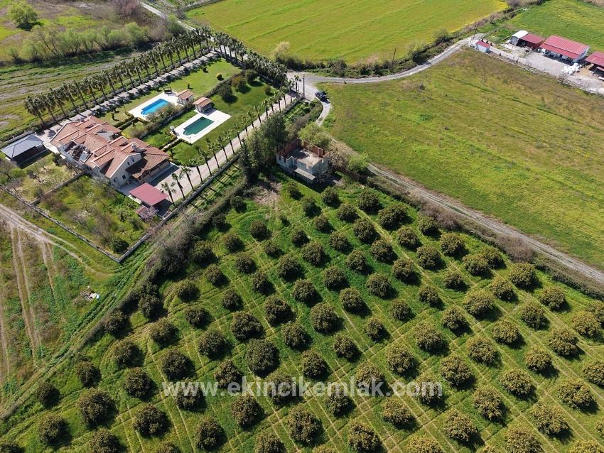 17.550 M2 Weinberg-bahce Zum Verkauf In Der Nähe Des Dalyan Centers