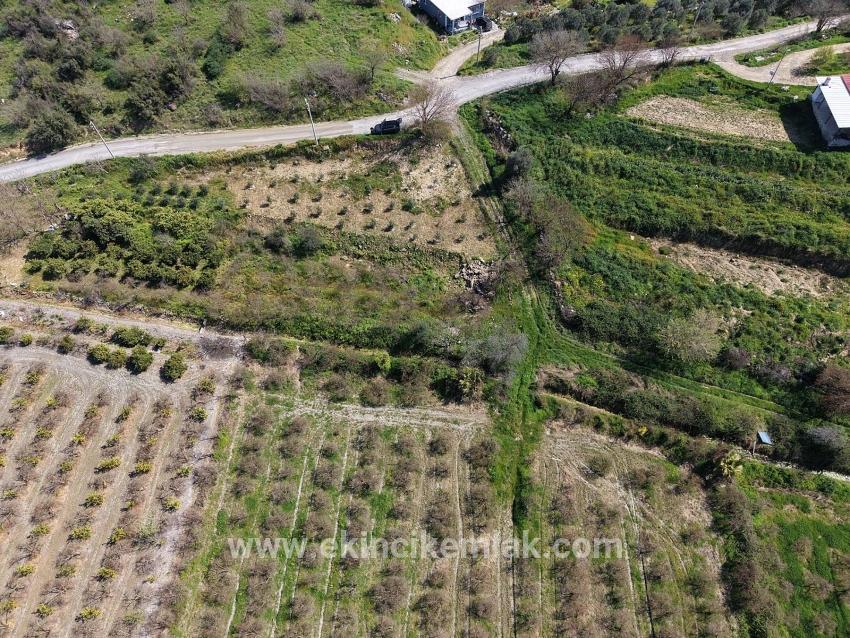 16.710 M² Granatapfelgarten Zum Verkauf Mit Seeblick In Eskiköy