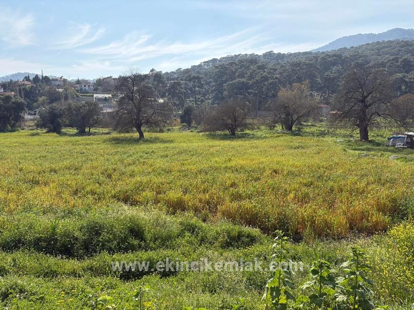 2.023 M² Großes Grundstück In Çandır Village, Köyceğiz, Zu Verkaufen, Mit Miteigentum Und Freiwilliger Aufteilung.