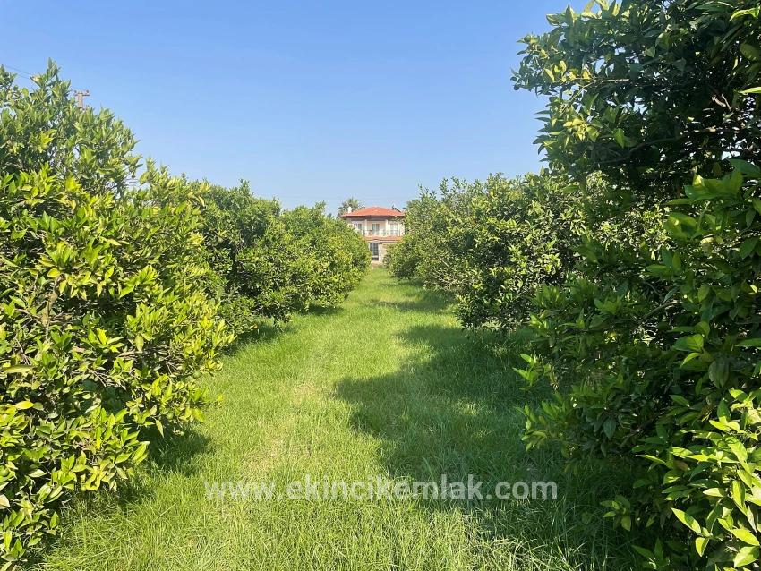 722m2 Grundstück Zum Verkauf In Dalyan Gülpınar