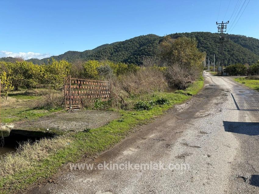 Feld Zu verkaufen in Tepearası Bz. Ortaca - Weinberg & garten-Zonierung - 23.000 m²