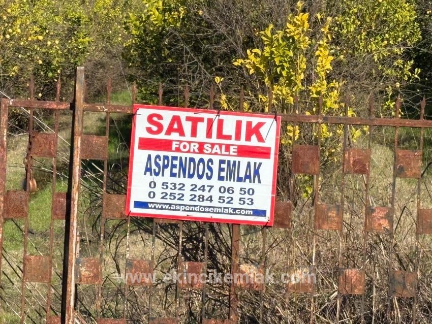 Feld Zu verkaufen in Tepearası Bz. Ortaca - Weinberg & garten-Zonierung - 23.000 m²
