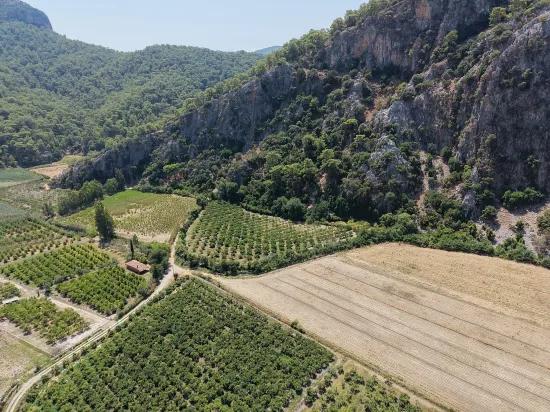 In Dalyan 20.786m2 Verkaufsfeld