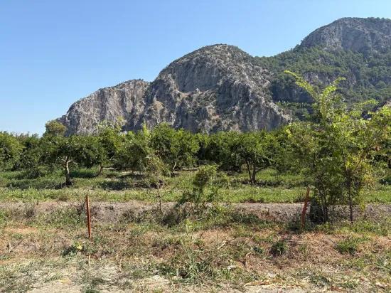 In Dalyan 20.786m2 Verkaufsfeld