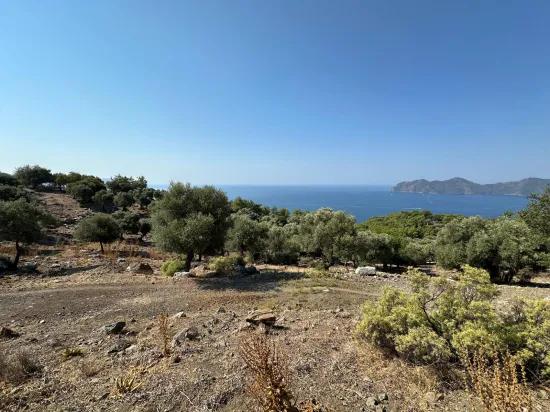 In Çandır mit Meerblick 21.000 m2 zu verkaufen 2b Feld