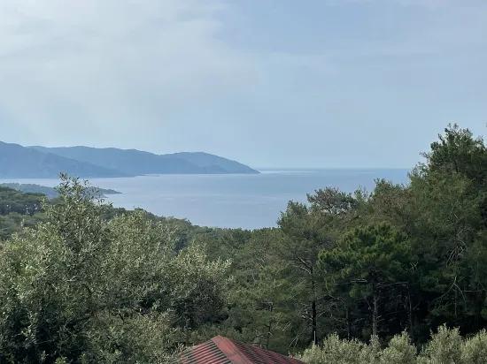 Köyceğiz Ekincik mit Meerblick 7.000m2 2b zu verkaufen Olivenhain