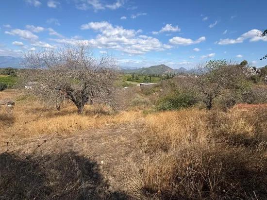 In Dalyan Karadağ Seeblick 5.000m2 zu verkaufen Acker