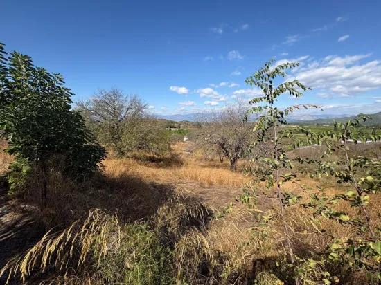 In Dalyan Karadağ Seeblick 5.000m2 zu verkaufen Acker