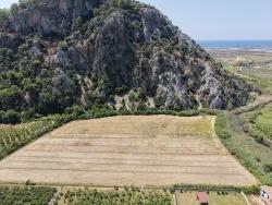 Feld Zu verkaufen in Dalyan Bz. Ortaca - Feld-Zonierung - 20.786 m²