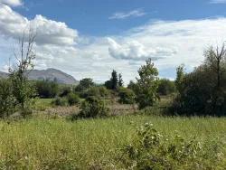 Feld Zu verkaufen in Zeytinalanı Bz. Köyceğiz - Feld-Zonierung - 10.500 m²