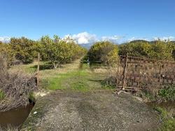 Feld Zu verkaufen in Tepearası Bz. Ortaca - Weinberg & garten-Zonierung - 23.000 m²