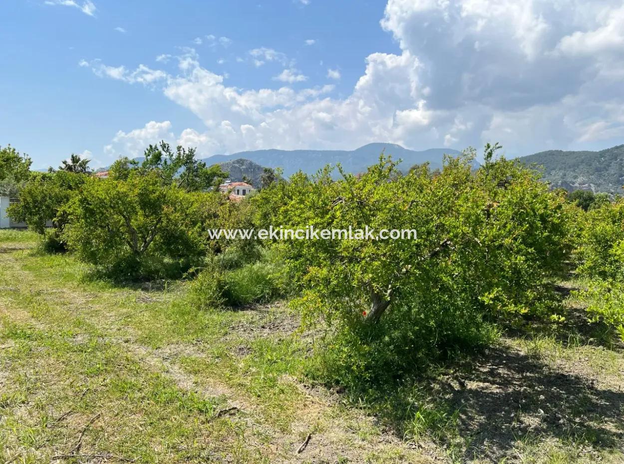 5.100 M2 Land Zum Verkauf In Der Gegend Von Dalyan Maraş Mit 5% Wohnzone