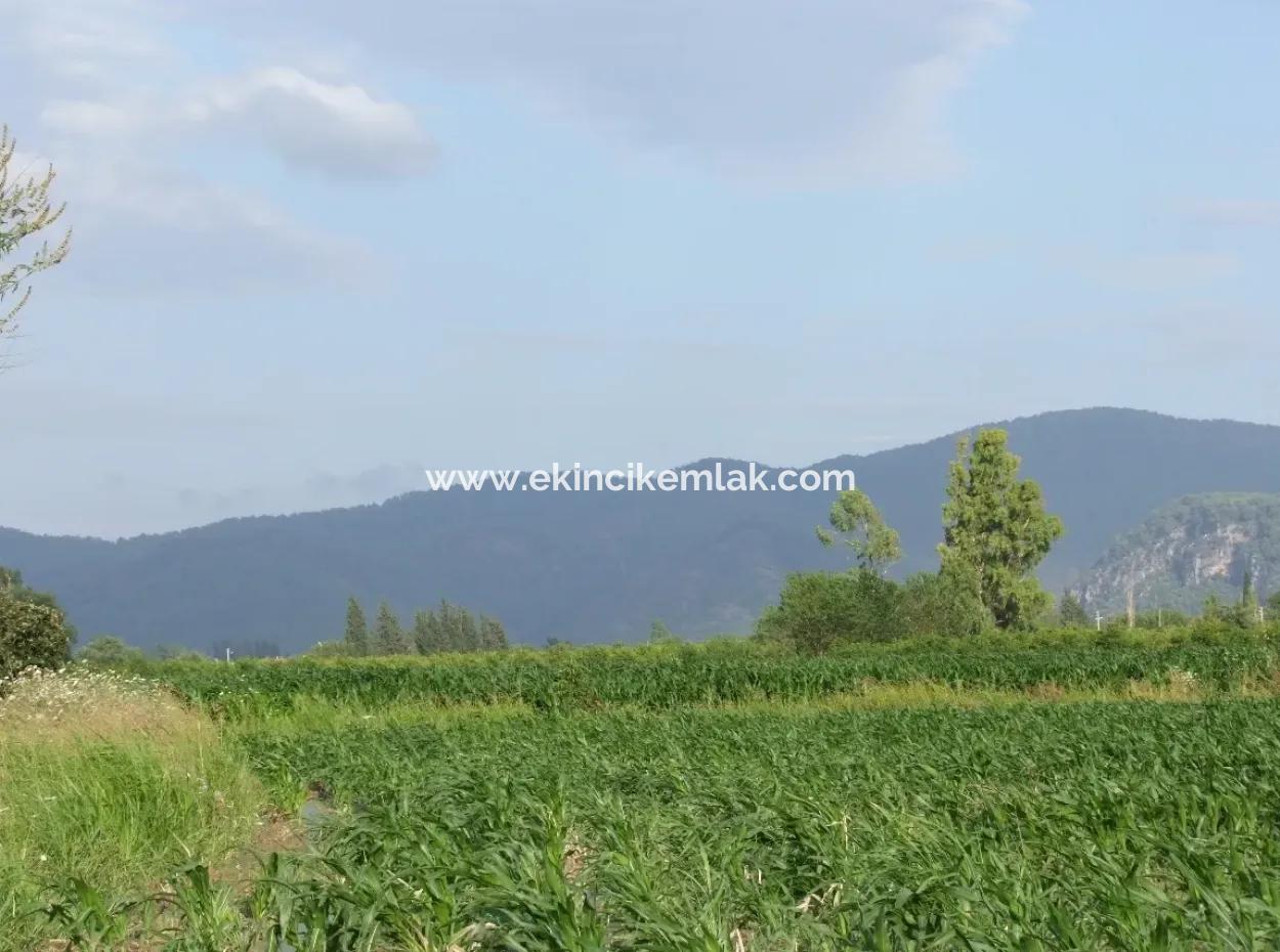 Bauernhof Zum Verkauf In Der Nähe Des Zentrums Von Dalyan,14, 612M2 Bauernhof Zum Verkauf