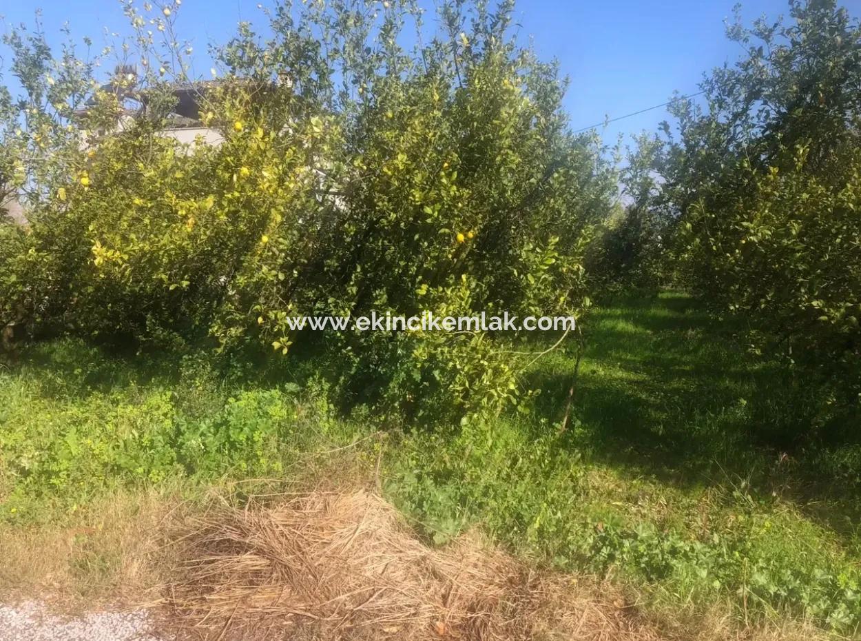 Raiders 803M2 Land Zum Verkauf In Plot Zum Verkauf