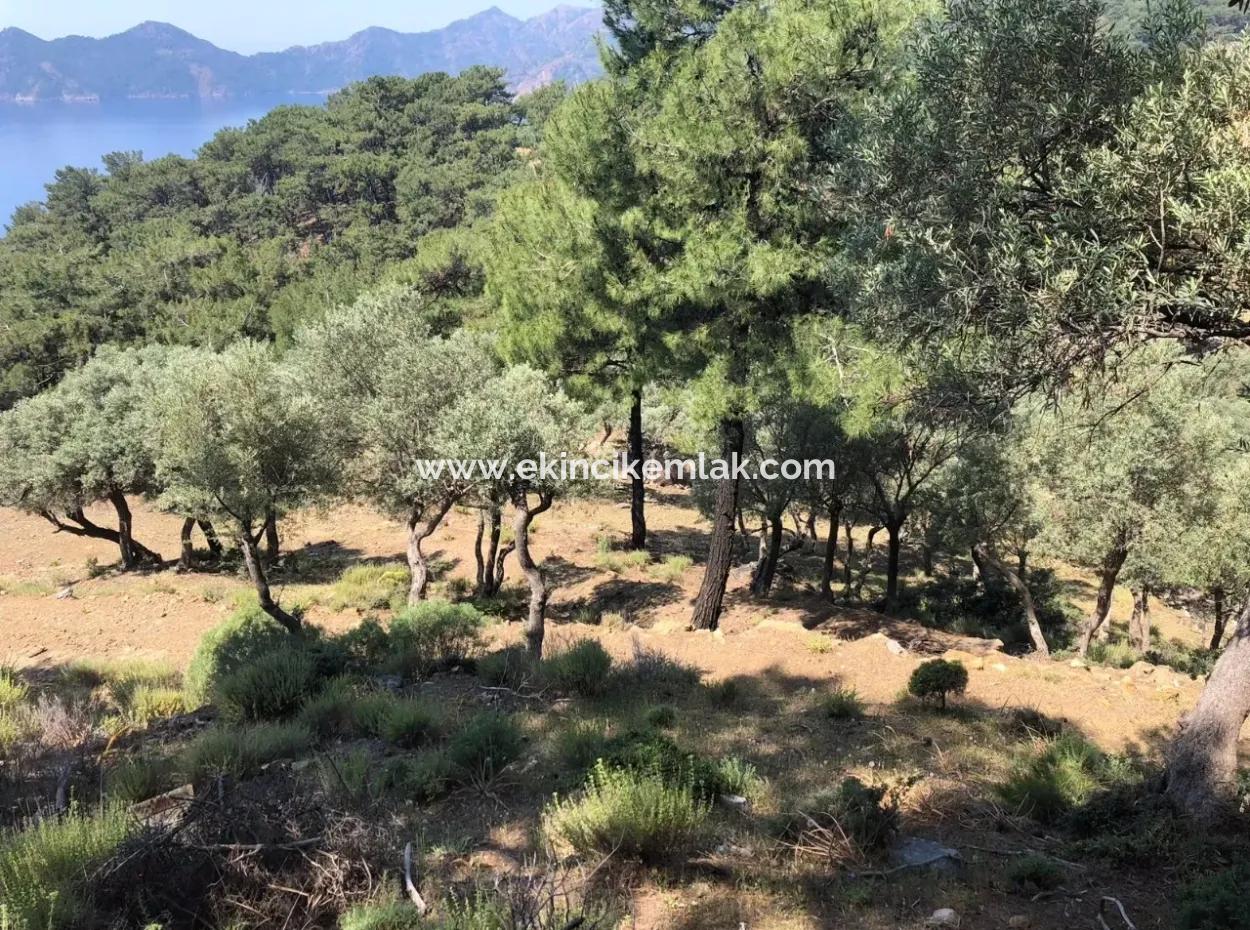 7034M2 Feld Zum Verkauf Mit Meerblick In Çandir