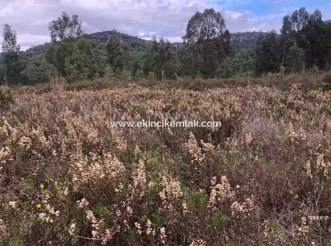 Land Zum Verkauf Null Zu 'Aml' Kanal 28768M2 Land Zum Verkauf Mit Meerblick In Camlida