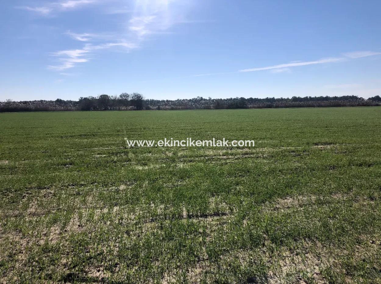 Land Zu Verkaufen In Sar'germede 30.000M2 Land Zum Verkauf Mit Meerblick