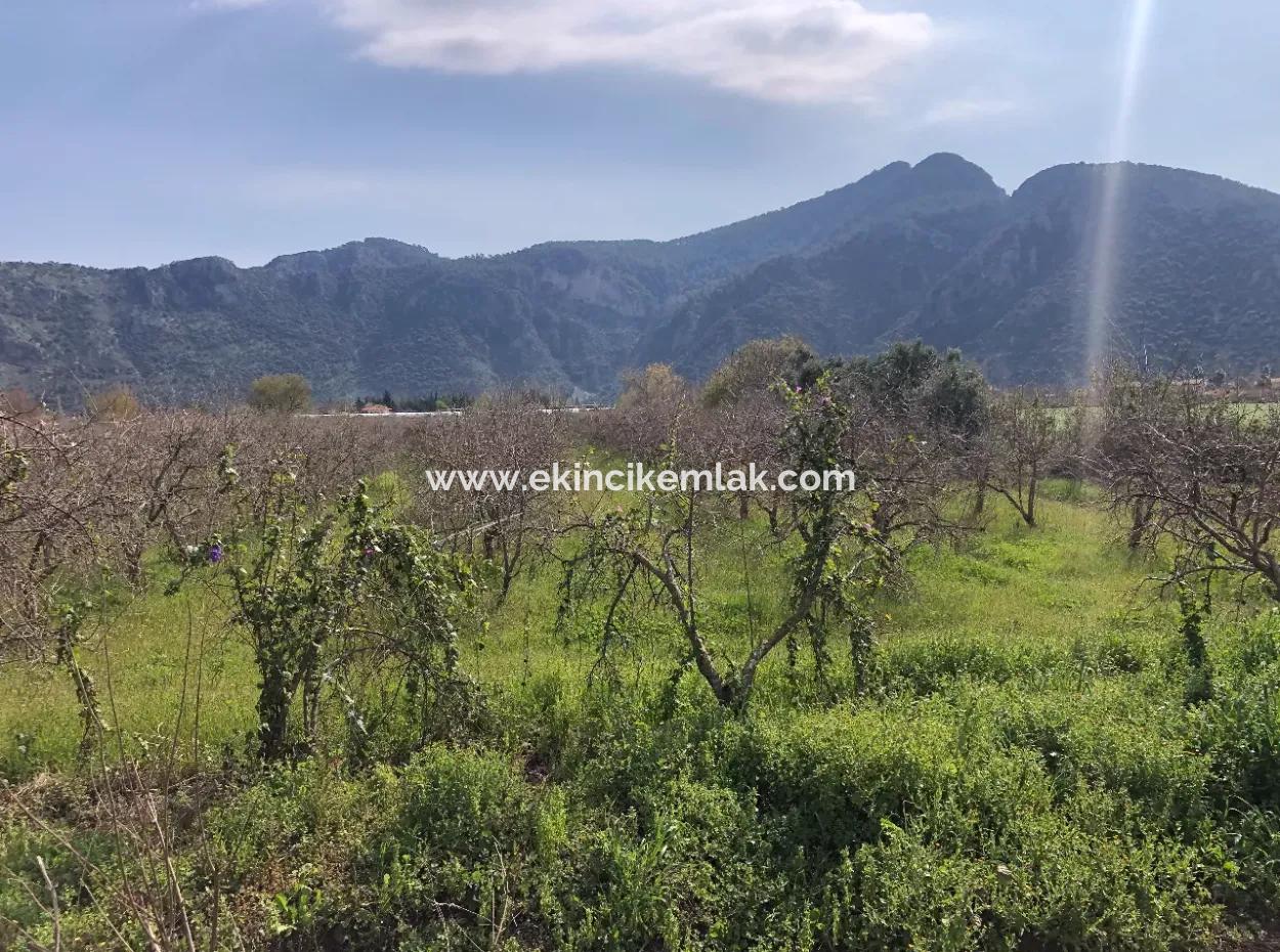 5500M2 Grundstück Zu Verkaufen In Dalyan