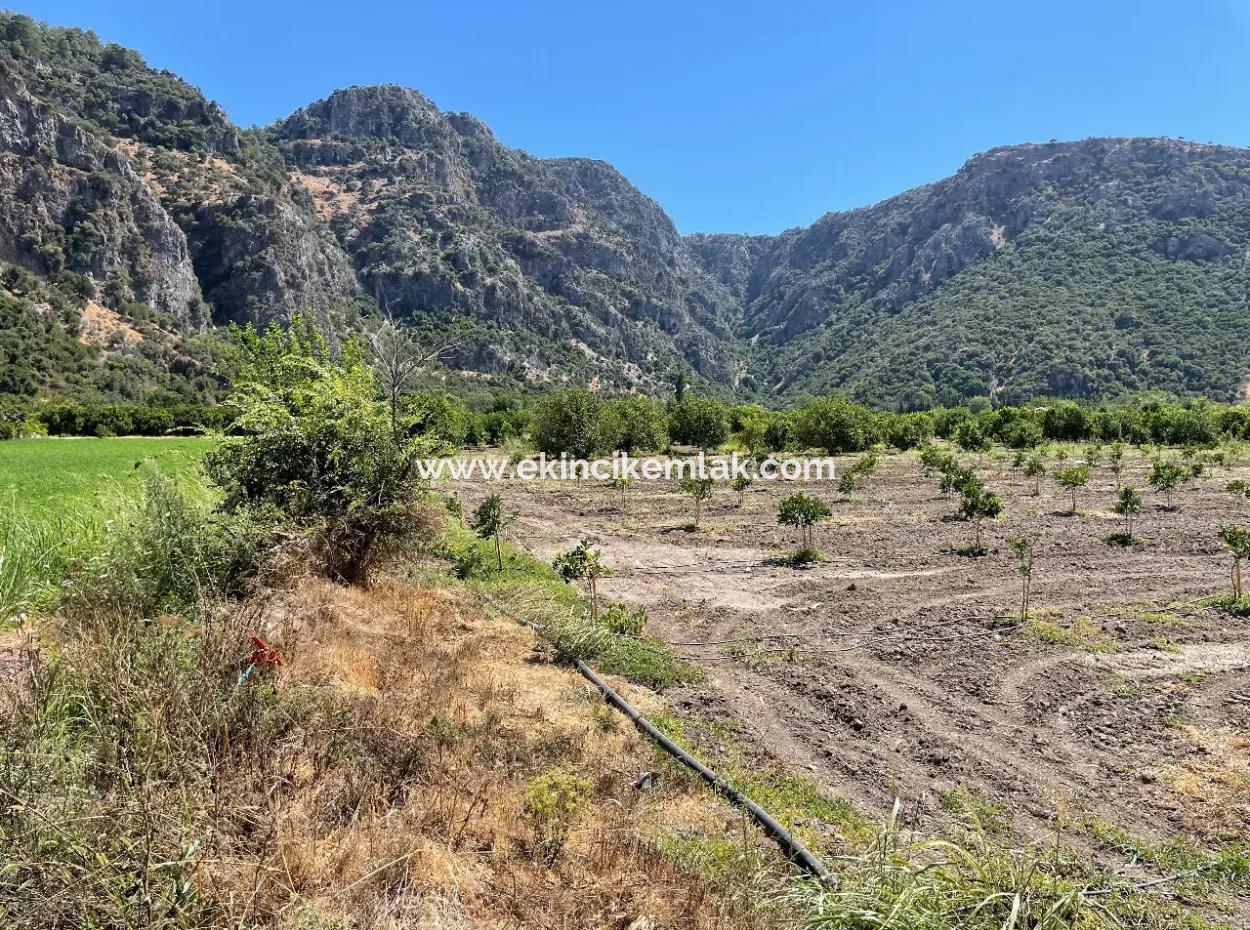 Okçular Land Zum Verkauf In Marmarlı 6500M2