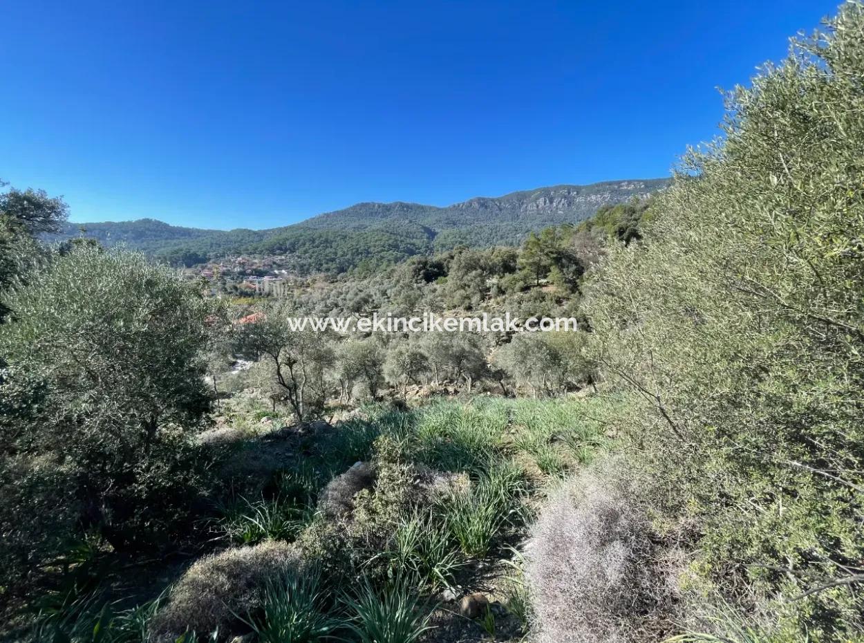 950M2 2B Feld Zum Verkauf Mit Meer- Und Seeblick In Çandır