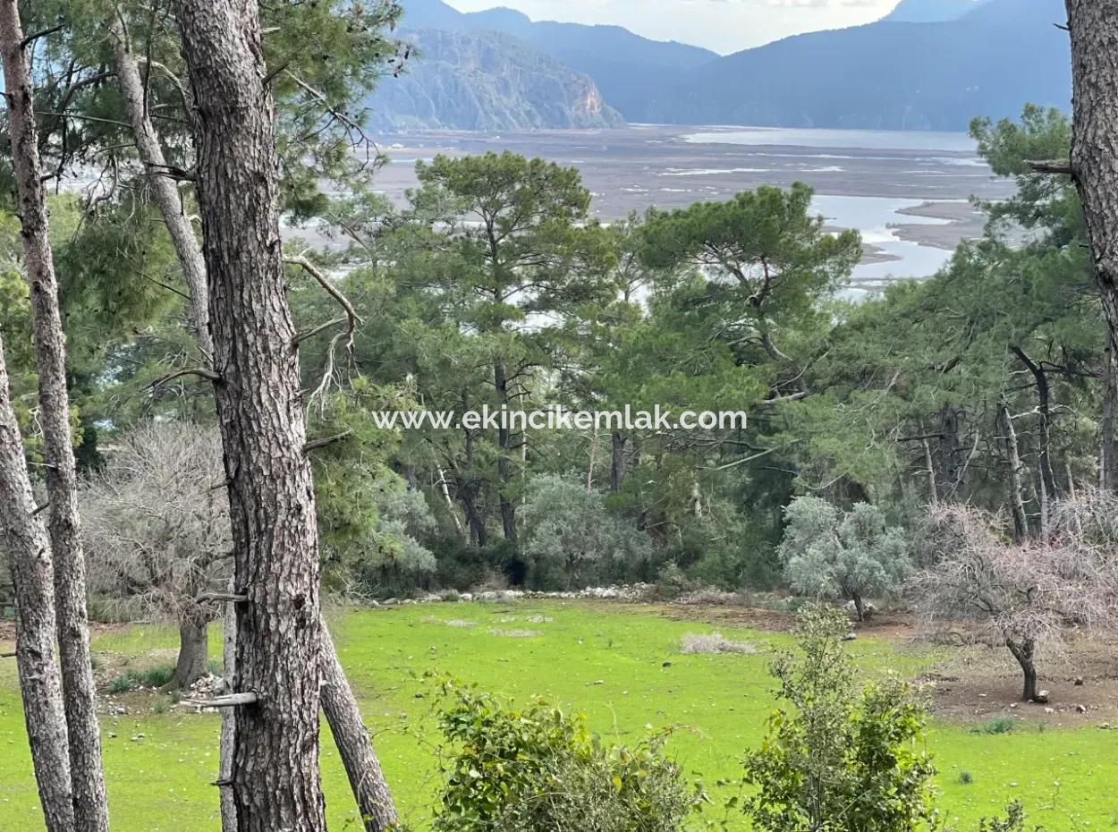 10.707M2 2B Feld Zu Verkaufen Mit Meerblick See In Çandır