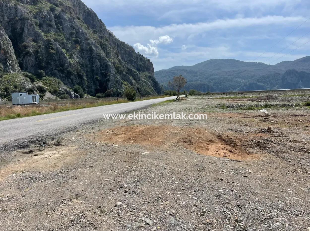 Dalyan Iztuzu Strand Straße Null 19.600M2 Feld Land Zum Verkauf