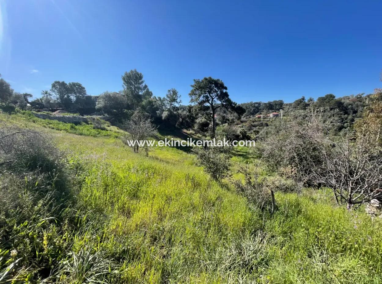 Dorfhaus Zum Verkauf Auf 4.400M2 Grundstück Mit Vollem Meerblick In Gökbel